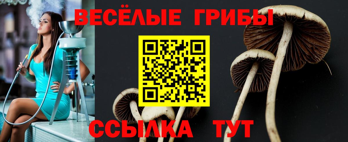 Псилоцибиновые грибы прущие грибы Невинномысск